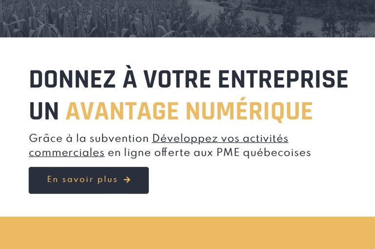 capture-Programme Canadien d’adoption du Numérique
